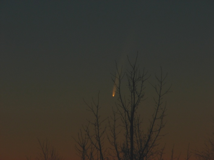 McNaught1.JPG